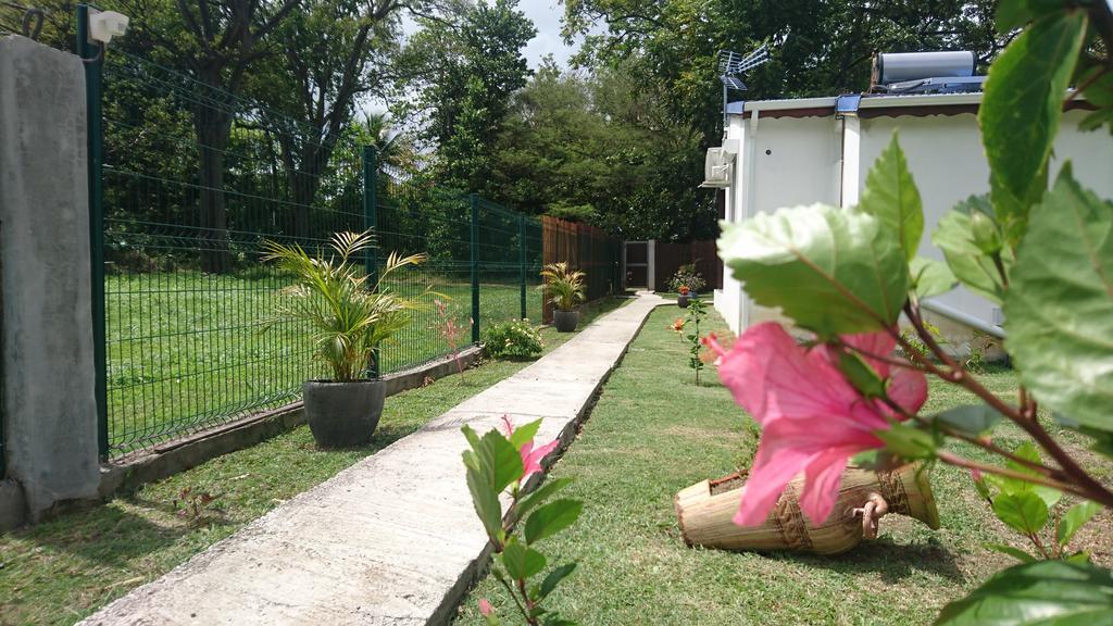 Reve Creole Villa Deshaies Luaran gambar