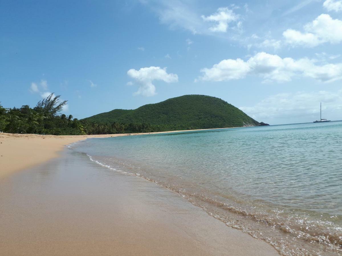 Reve Creole Villa Deshaies Luaran gambar