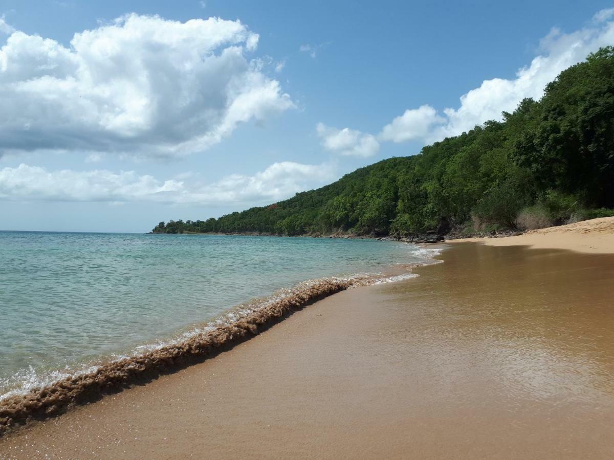 Reve Creole Villa Deshaies Luaran gambar