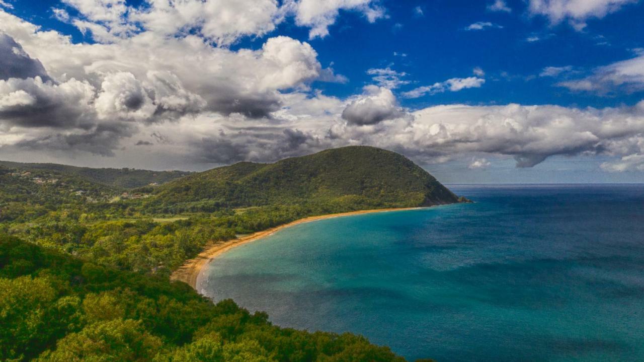 Reve Creole Villa Deshaies Luaran gambar