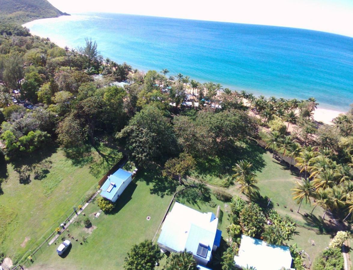 Reve Creole Villa Deshaies Luaran gambar